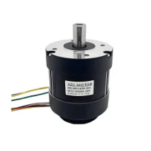 DC Brushless motor